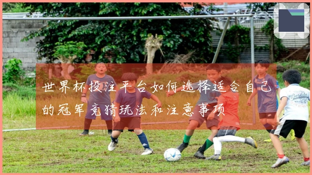 世界杯投注平台如何选择适合自己的冠军竞猜玩法和注意事项