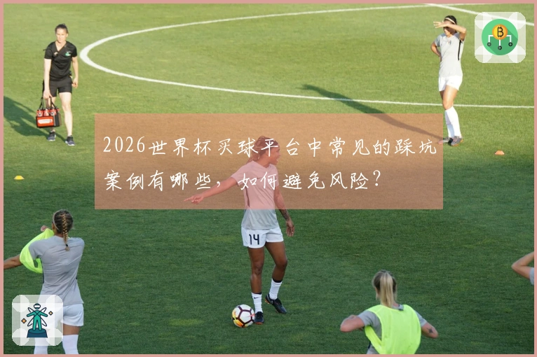 2026世界杯买球平台中常见的踩坑案例有哪些，如何避免风险？