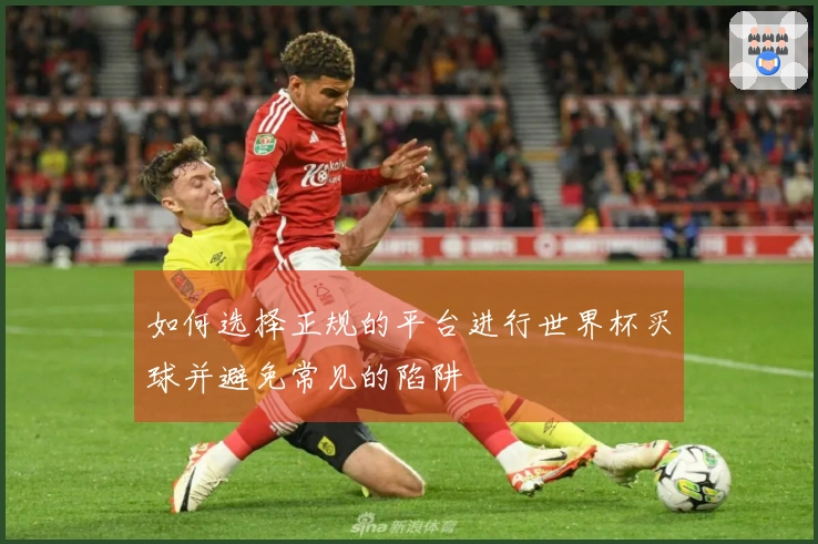 如何选择正规的平台进行世界杯买球并避免常见的陷阱