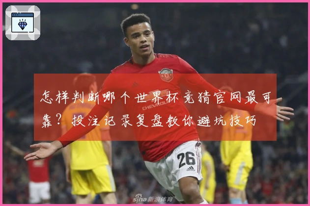怎样判断哪个世界杯竞猜官网最可靠？投注记录复盘教你避坑技巧