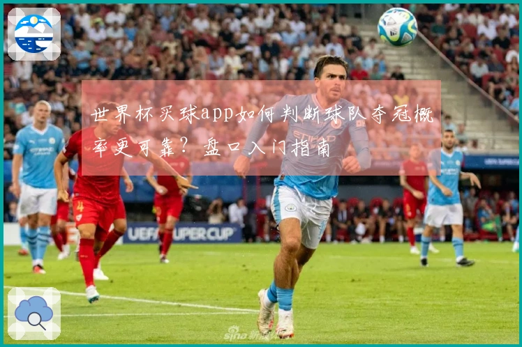 世界杯买球app如何判断球队夺冠概率更可靠？盘口入门指南