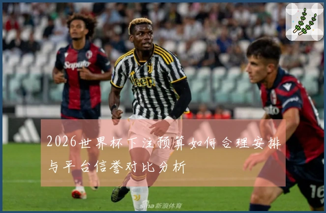 2026世界杯下注预算如何合理安排与平台信誉对比分析